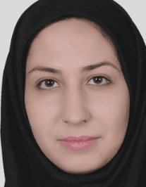 مینا نیروکار مینا نیروکار